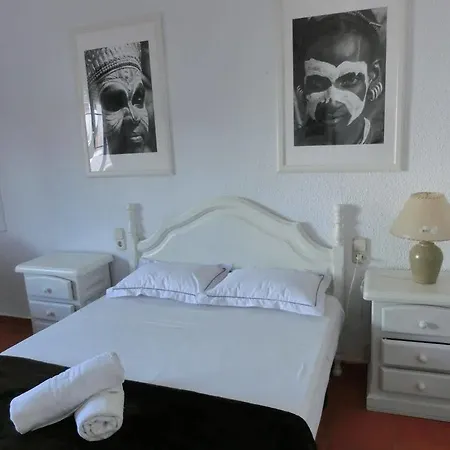 Apartment Total Attics Iii