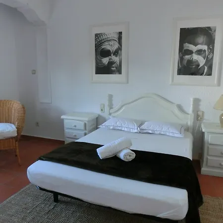 Apartment Total Attics Iii